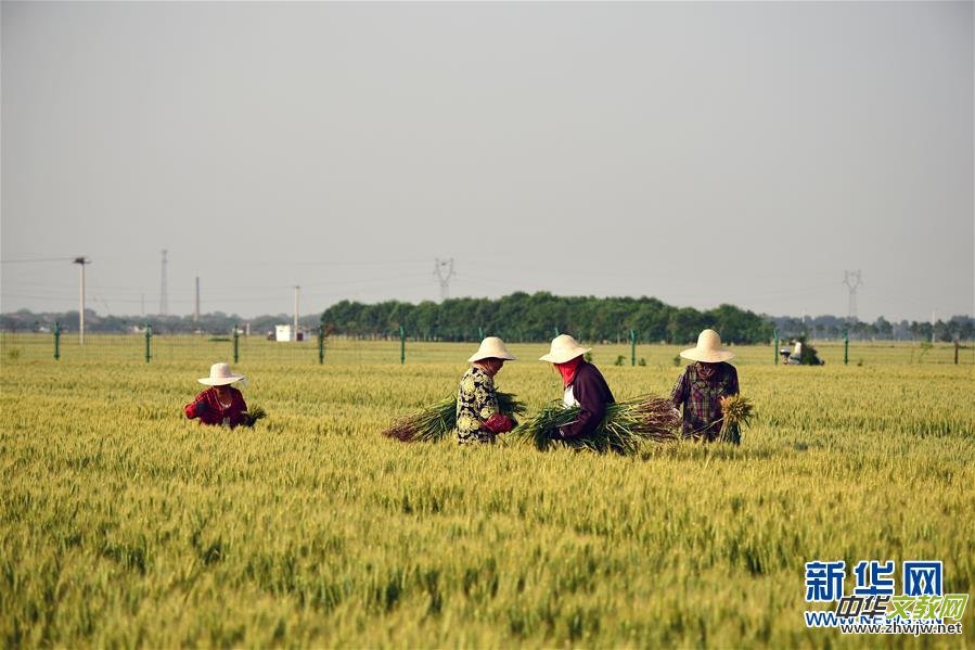 ��ͬ�����ăɕ�(hu��) �f(w��n)��һ�ĵ�����