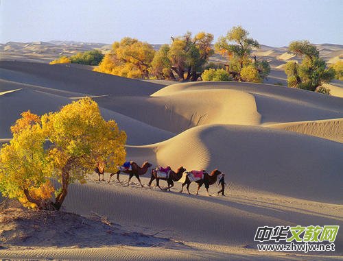  ��֮�����~��