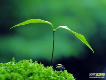 Ц��(����)���겿��Ԋ��