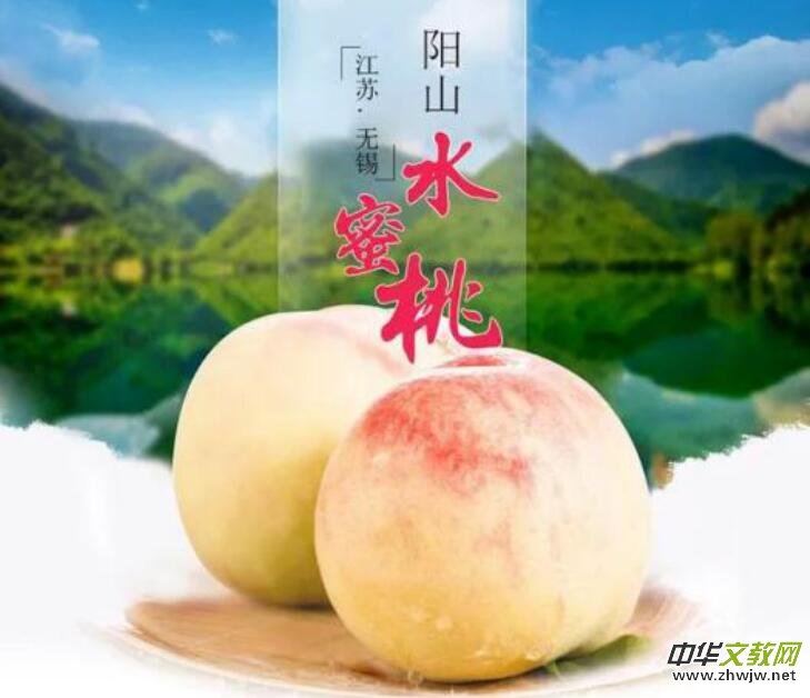 �ɽˮ���ҷNֲ���ء���ӛ��ꂥ�f���ڽ��c��������Y(ji��)��