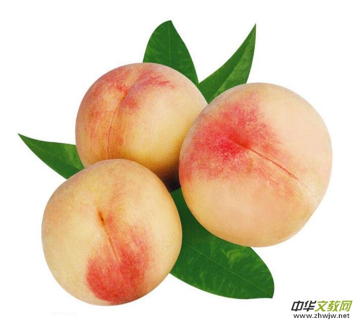 �ɽˮ���ҷNֲ���ء���ӛ��ꂥ�f���ڽ��c��������Y(ji��)��