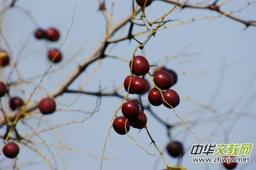 һ��(g��)���cһ�Ø�