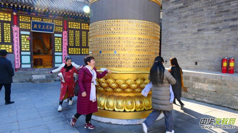 2020���_ɽ�Ļ�ˇ�g(sh��)ϵ�в��L(f��ng)��ӈA�M�e��