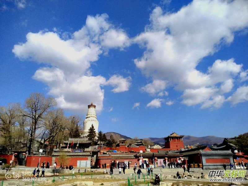 2020���_ɽ�Ļ�ˇ�g(sh��)ϵ�в��L(f��ng)��ӈA�M�e��