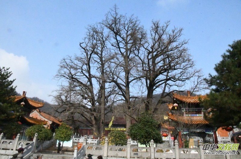 �ӡ������������o(j��)���(hu��)�ں�����ɽ�������e�k