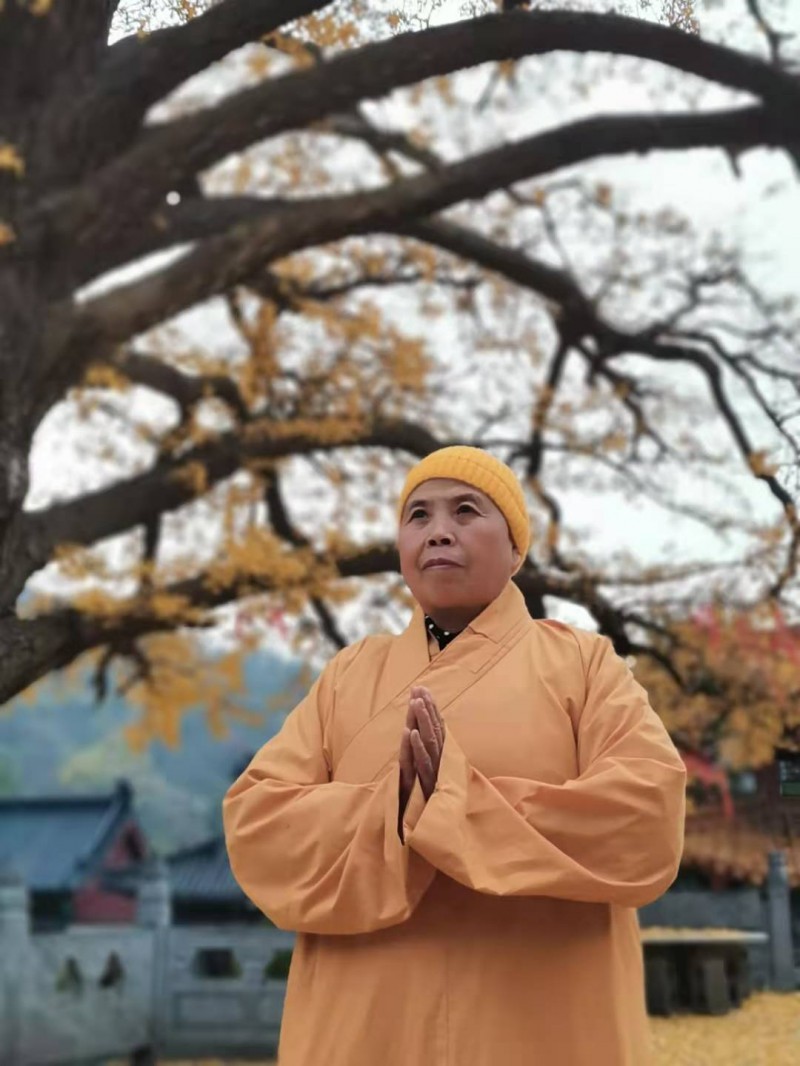 ������ɽ�������ӡ���Ϻ���