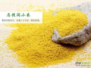 ���l(xi��ng)�ġ��RͶ��С�ס����S�P��