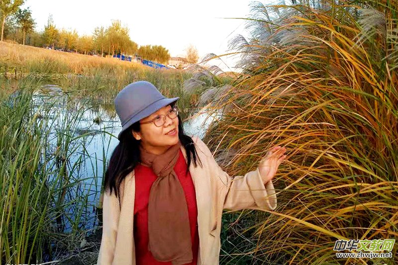 ��(m��ng)��֪��δ���ġ������£���(��i)淣�2020�����ᭇ���Ŀ��R