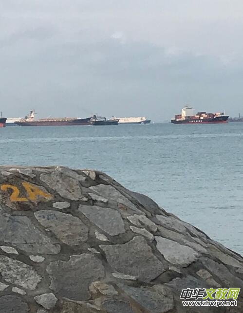 ٛ(z��ng)��������(�����)