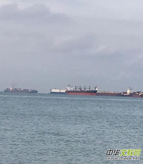 ٛ(z��ng)��������(�����)