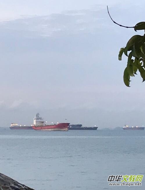 ٛ(z��ng)��������(�����)