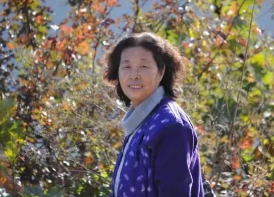 ˮұ�����( ���� 