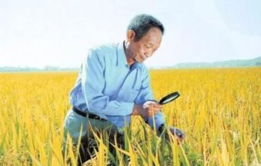 Ԭ¡ƽ����������