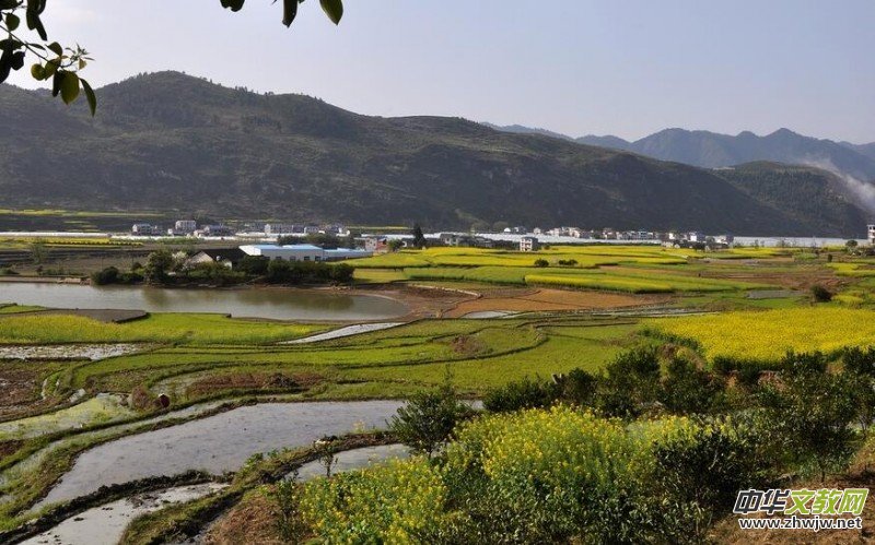 �ؑc���(y��ng)�t�����ČW(xu��)���(hu��)�T��Ʒ�x