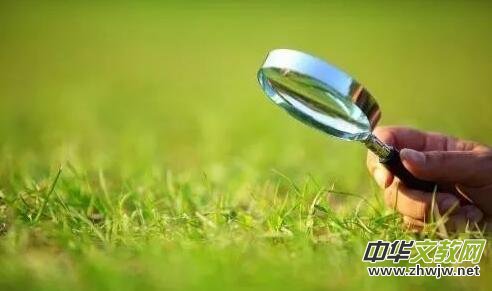 �ؑc���(y��ng)�t�����ČW(xu��)���(hu��)�T��Ʒ�x