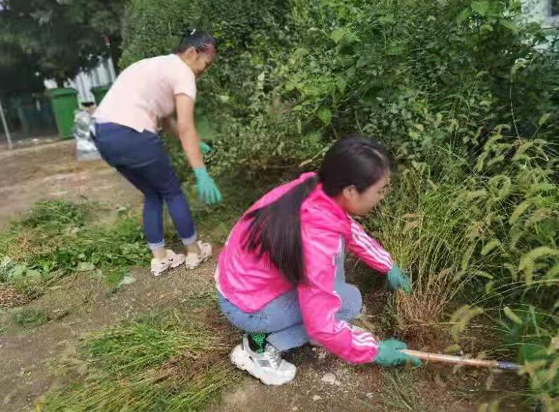 ɽ�|��Ŷ���׃��@�����s�ݚ�������ӭ�Ӻ����όW