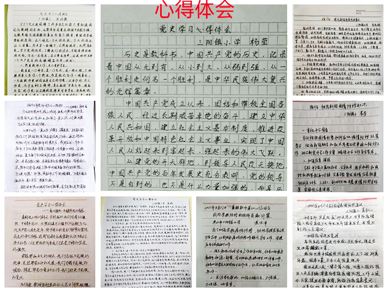 ����ʡ��ɽ������(zh��n)С�W(xu��)ȫ�w�̎����ϼ��г���ի@�M�M