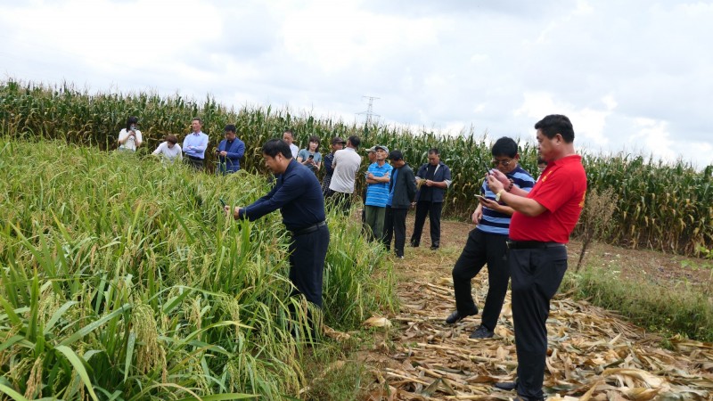 2021���_̼��˷ʻ����^Ħ�������ں�������_