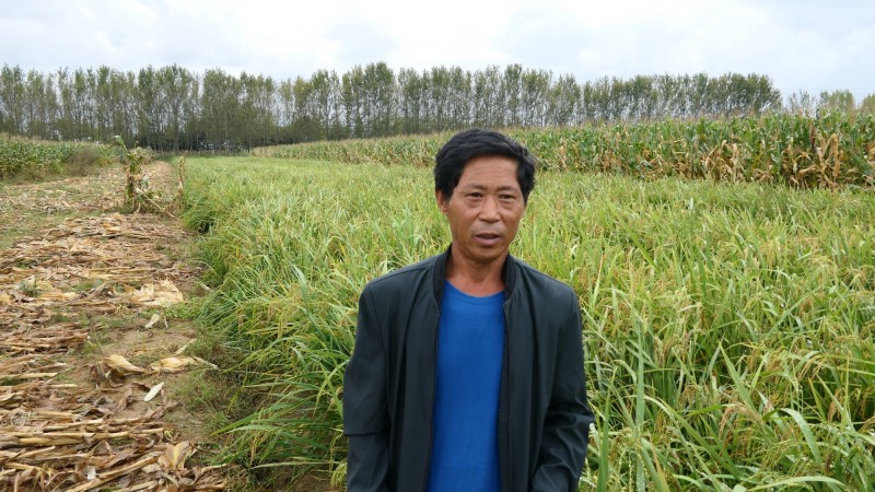 2021���_̼��˷ʻ����^Ħ�������ں�������_