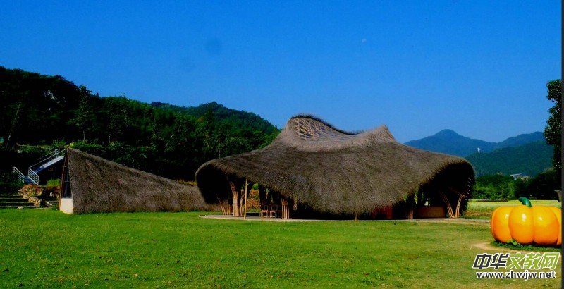 Ц���zӰ������Т�S���Ϫ�����r(n��ng)���L(f��ng)��