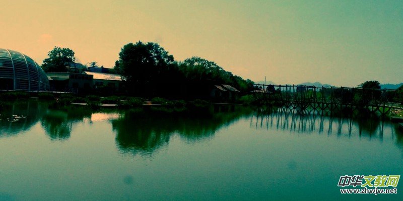 Ц���zӰ������Т�S���Ϫ�����r(n��ng)���L(f��ng)��