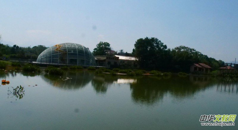 Ц���zӰ������Т�S���Ϫ�����r(n��ng)���L(f��ng)��