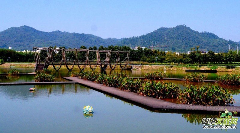 Ц���zӰ������Т�S���Ϫ�����r(n��ng)���L(f��ng)��