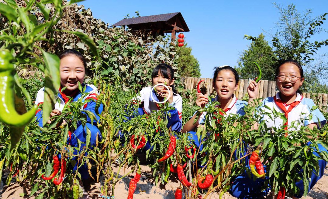 һ�݄�����؟(z��)�������չ�����¿��g