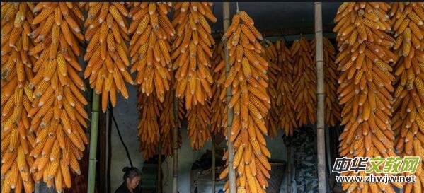 �ޘs�µ�Ԋ(sh��)�����ף�