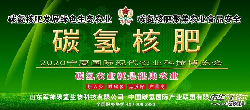 ̼��˷ʡ�̼�к͡��Ŀ��������ɳ�