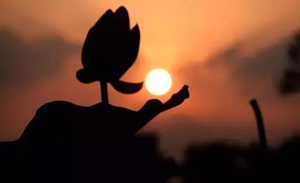 �ČW(xu��)��һ������е��d�^��