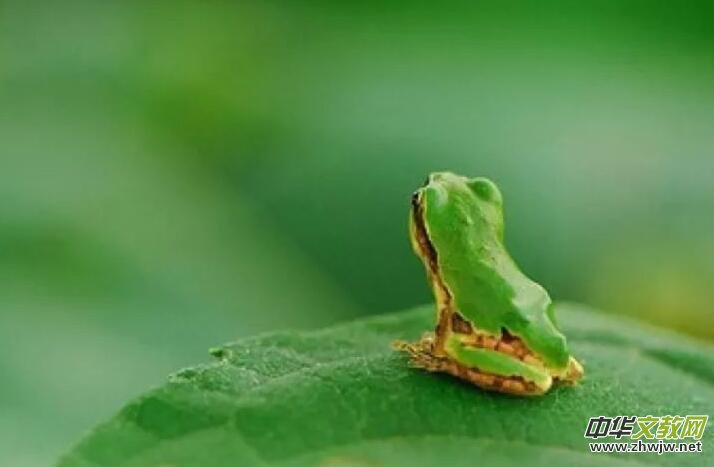 �uҷ�Ĵ����MԊ(sh��)