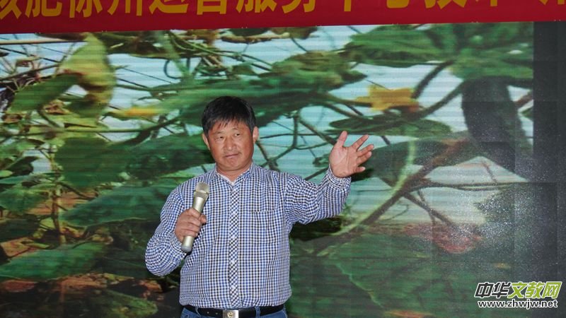 �����l(xi��ng)�����B(t��i)�r(n��ng)�I(y��)�������S�h�e��̼��˷ʼ��g��ӑ��