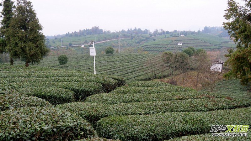 ��̼��o�n�Mǧ�h ��ȫʳƷ�M�f�ҡ����F�݄P���