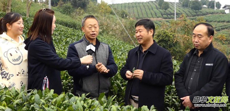 ��̼��o�n�Mǧ�h ��ȫʳƷ�M�f�ҡ����F�݄P���