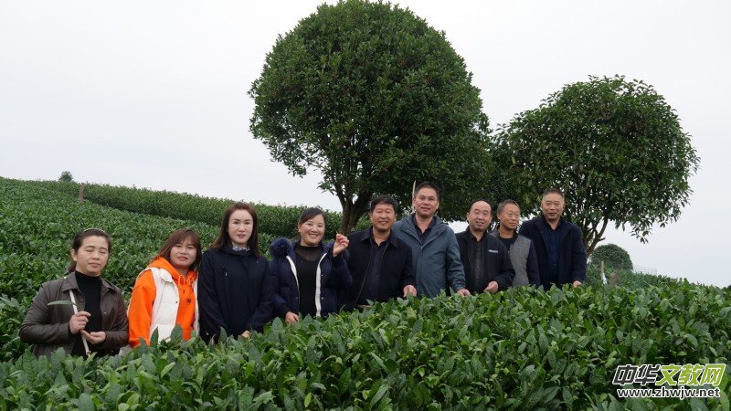 ��̼��o�n�Mǧ�h ��ȫʳƷ�M�f�ҡ����F�݄P���