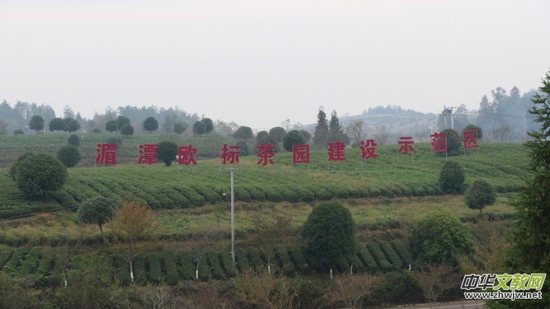 ��̼��o�n�Mǧ�h ��ȫʳƷ�M�f�ҡ����F�݄P���