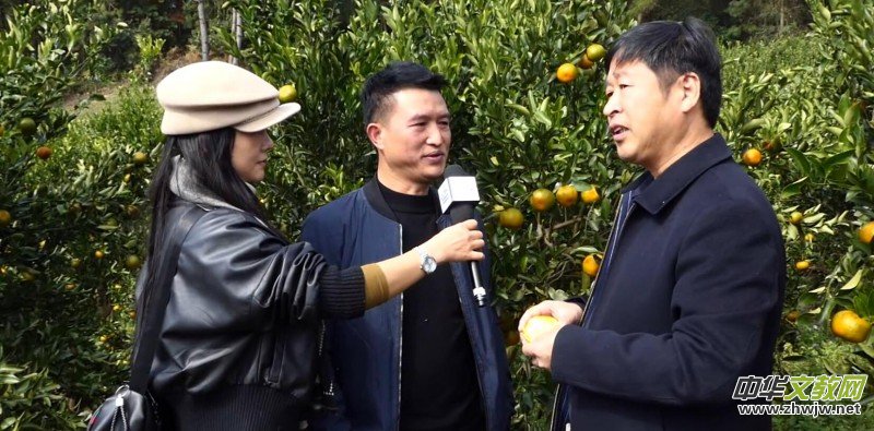 ��̼��o�n�Mǧ�h ��ȫʳƷ�M�f�ҡ����F�݄P���