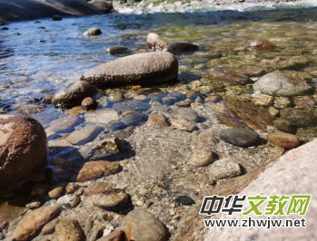 �}�Ͼ�����z����������ſ���������