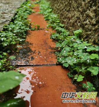 �}�Ͼ�����z����������ſ���������