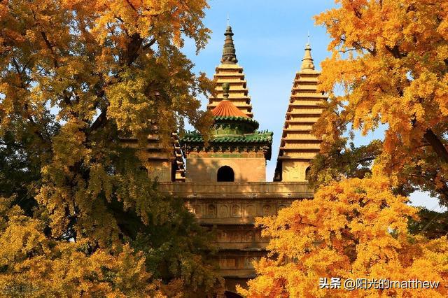 2021�����£����ᭇ�������x��