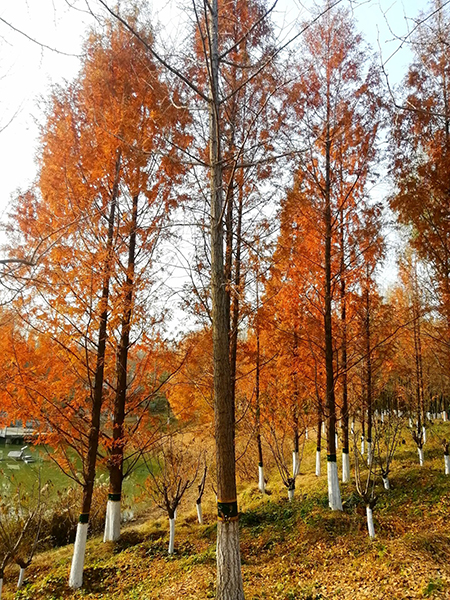 2021�����£����ᭇ�������x��