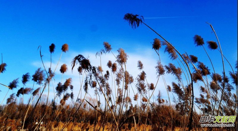 Ц���zӰ���JȔʒ�������