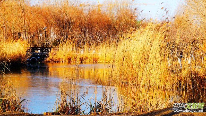 Ц���zӰ���JȔʒ�������