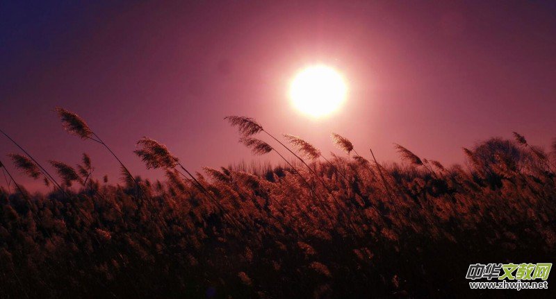 Ц���zӰ���JȔʒ�������