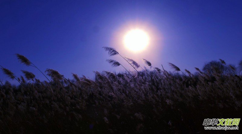 Ц���zӰ���JȔʒ�������