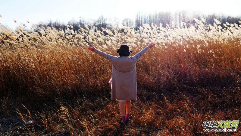 Ц���zӰ���JȔʒ�������