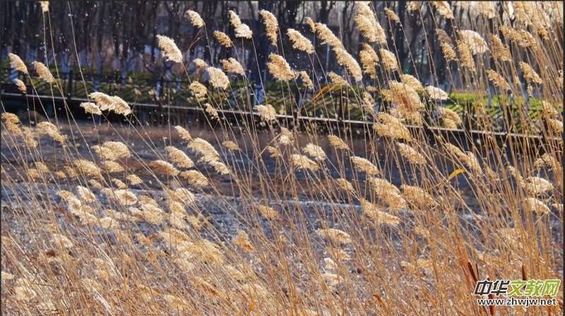 Ц���zӰ���JȔʒ�������