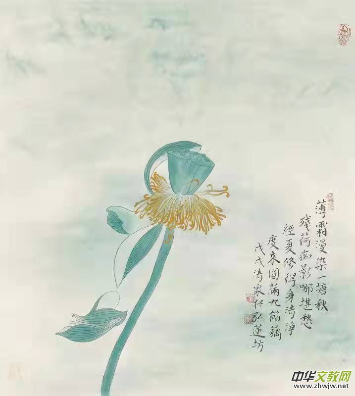 ��(sh��)���ɮ�������Ȫ�ɻ���Ʒ���p