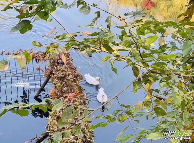 �����şo�A����ѡ�������Ϫ���JԊ��PeterLeeԊ�����p